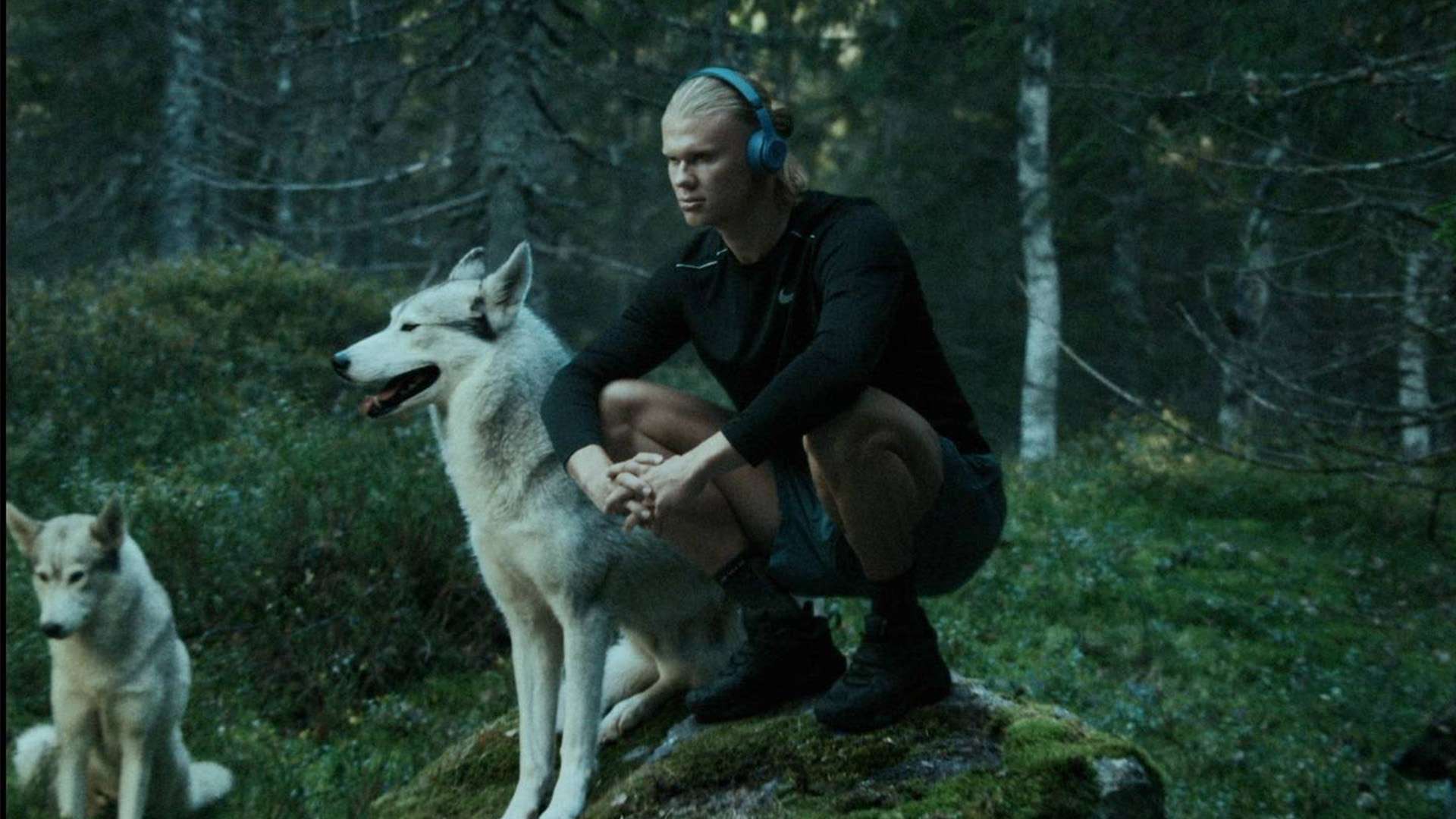 加注重进攻 加注重进攻