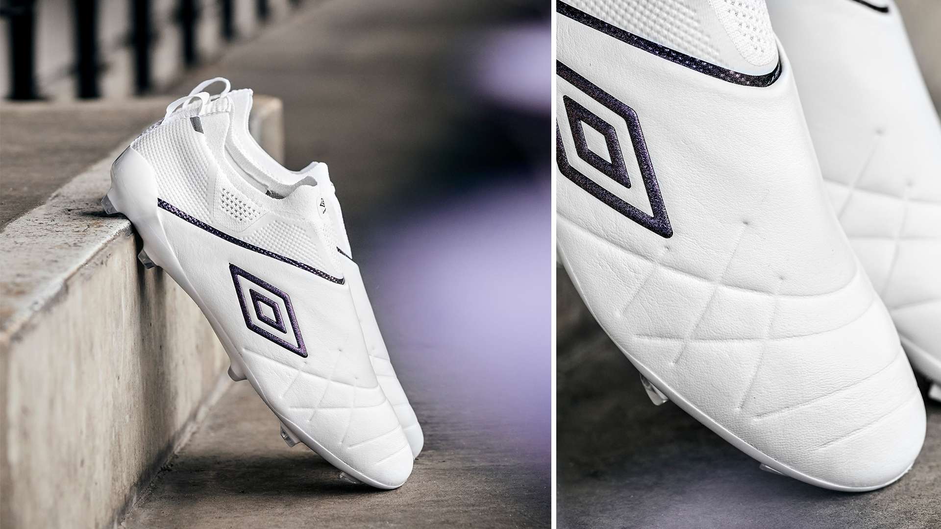 不仅令他赢 不仅令他赢