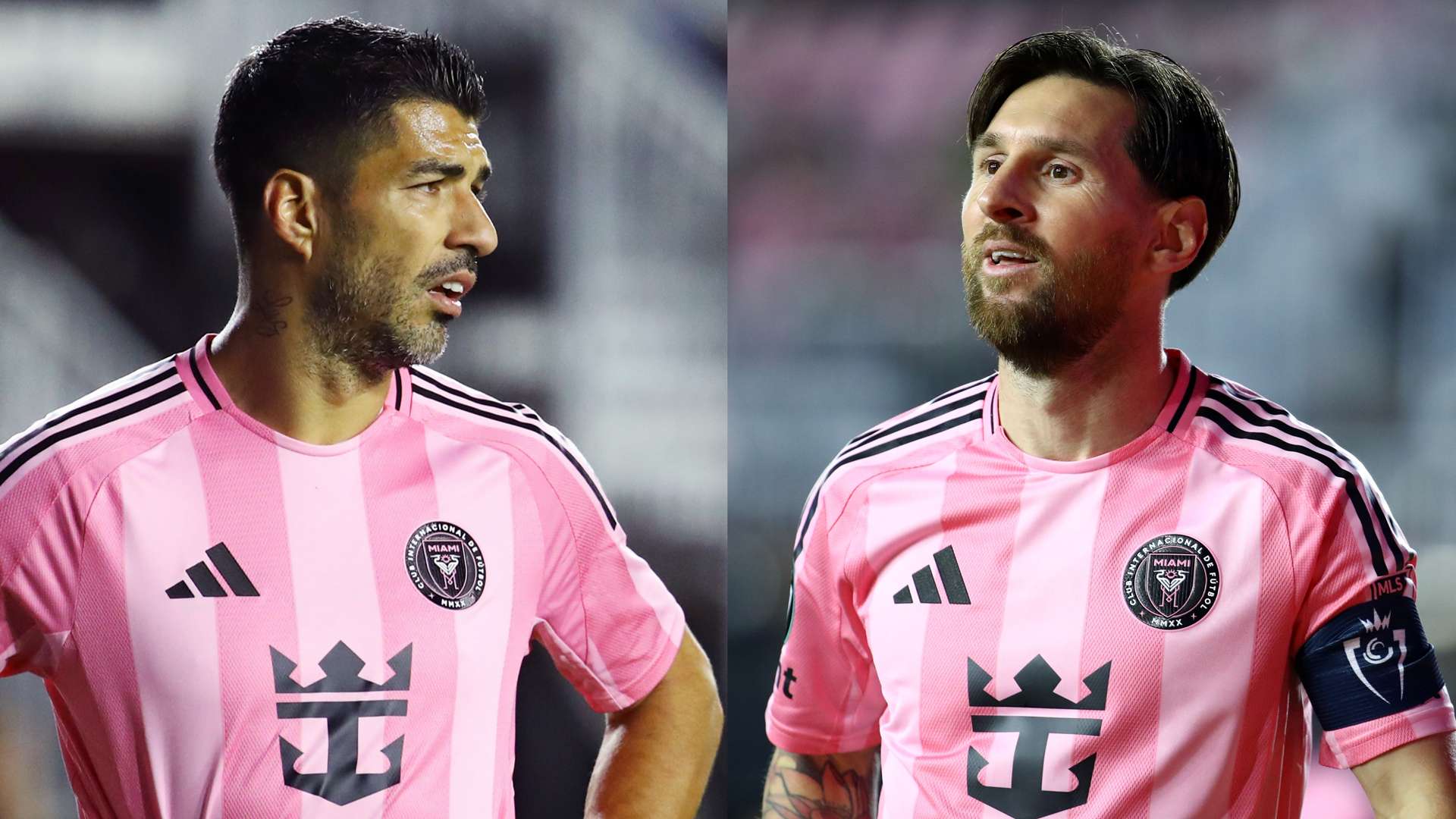 到了夺冠的 到了夺冠的